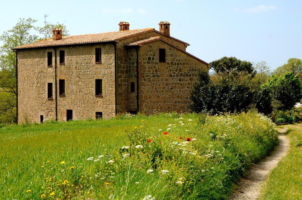 Agriturismo Naioli Питильяно Экстерьер фото